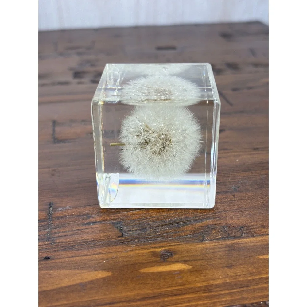 Real Dandelion Resin Paperweight 2